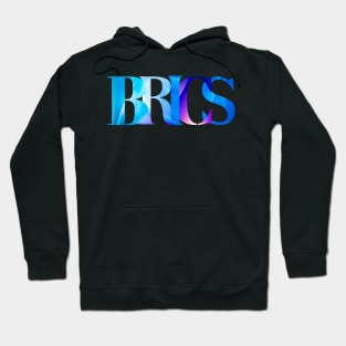 BRICS Countries Hoodie